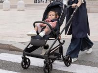 Εικόνα για την κατηγορία ΚΑΡΟΤΣΙΑ