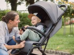 Εικόνα για την κατηγορία ΚΑΡΟΤΣΙΑ