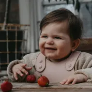 Εικόνα της ΣΑΛΙΑΡΑ BIBS SAGE